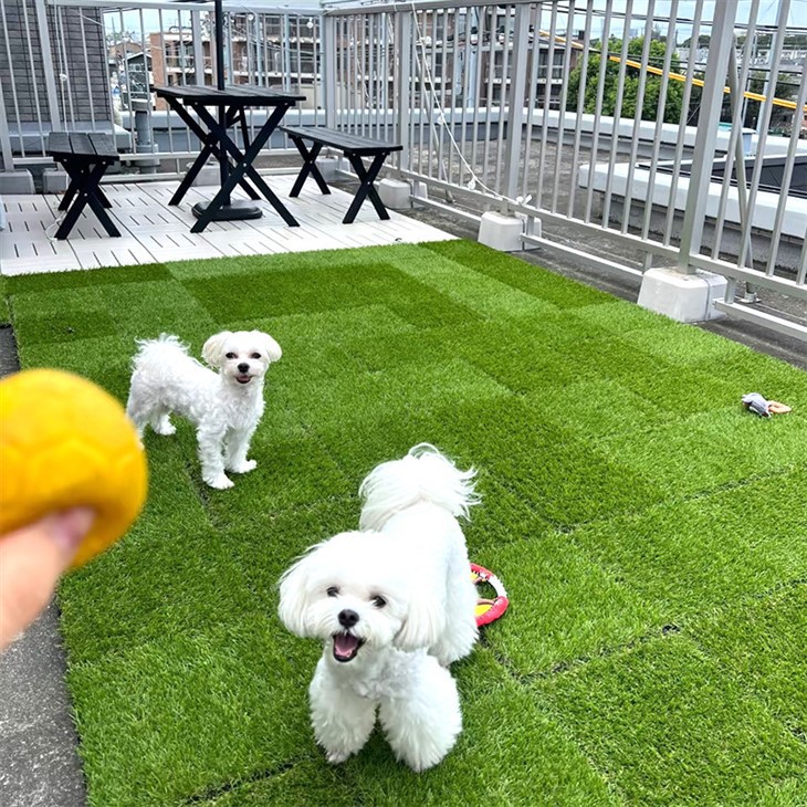 Artificial Turf Diy For Backyard factory